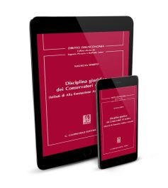 Disciplina giuridica dei Conservatori di musica (Istituti di Alta Formazione Artistica e Musicale) - e-Book