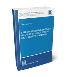 Il “principio fondamentale ambientalista” nella prospettiva multilivello e il suo impatto sull’assetto costituzionale