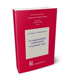 La responsabilità patrimoniale. Le garanzie reali